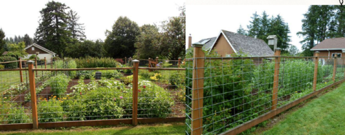 fence for vegetables