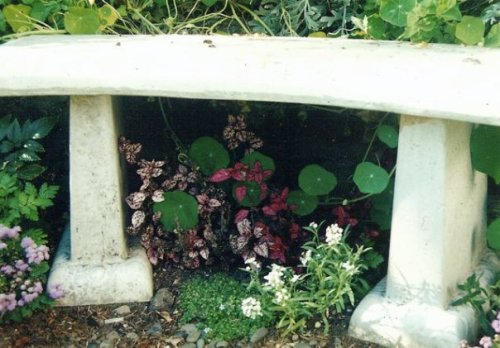 planting under a bench