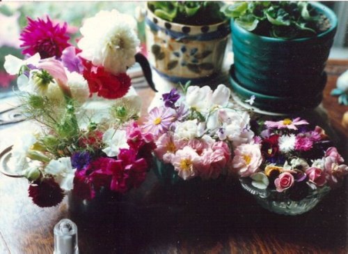 flowers picked in October '89