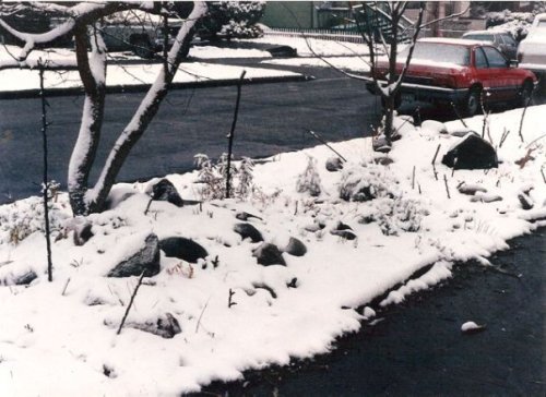 parking strip in snow