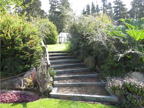 steps to the house level