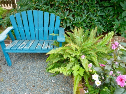 a blue bench