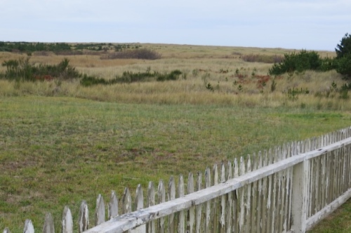 over the picket fence, the dunes, and then the beach