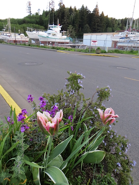 What I would miss is beautifying my town.  (The port gardens are a separate job.)