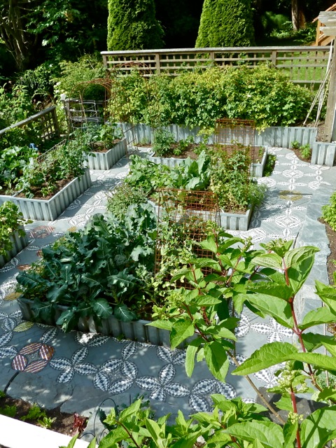 the kitchen garden