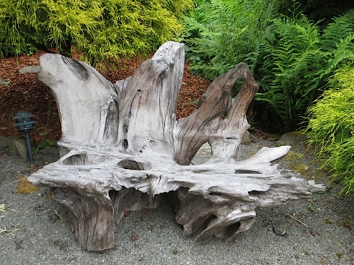 bench from a piece of wood found in the mud of Willapa Bay