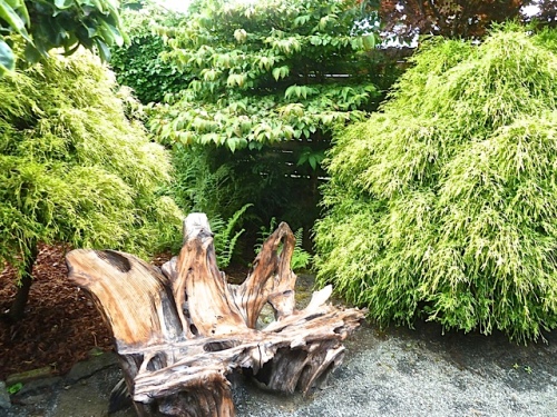 The driftwood bench is from one piece found buried in mud along Willapa Bay.
