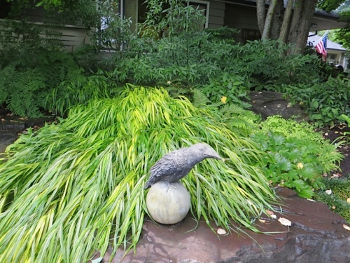 bird draped with Japanese forest grass