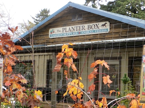 The Planter Box