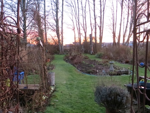 evening glow over the back garden as I return indoors