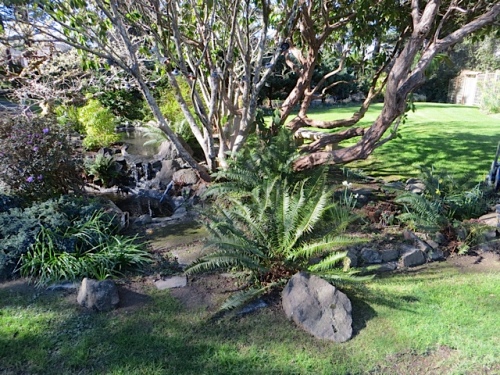 before, the pond's island bed