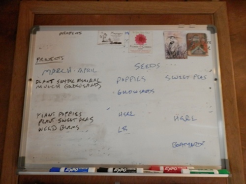 and a much decreased work list.  Tomorrow if I do my own sweet peas, I can erase sweet peas altogether.