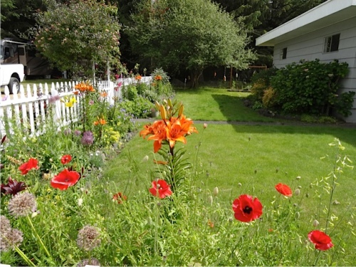 The picket fence garden