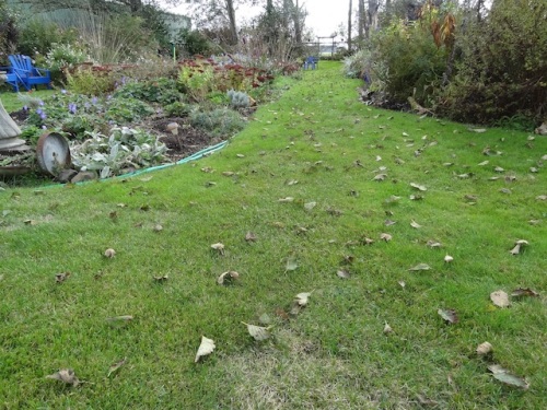 The garden looked autumnal again, even though Allan had mowed on Friday.