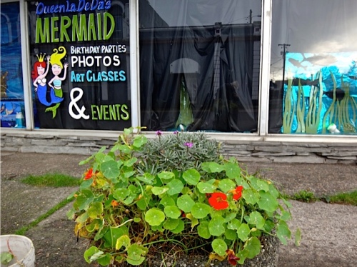 It was time to pull out the nasturtiums. (Allan's photo)