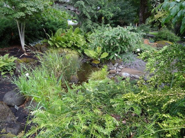 The Pet Friendly Garden has a naturalistic (or maybe it is natural!) stream.