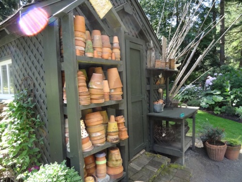 shaded side of potting shed