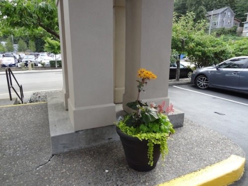 Someone is making an effort with planters.