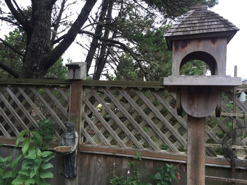 Goodbye to the bird feeders, now holding only pine needles.